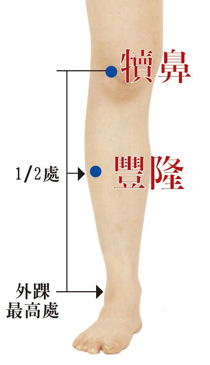 豐隆穴位置|豐隆穴